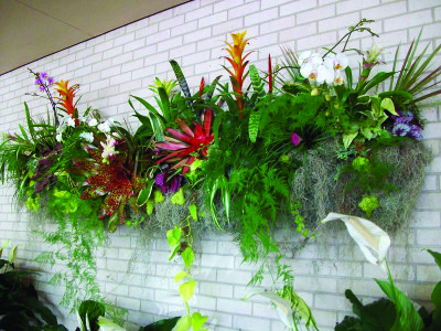 This long rough planter is a jungle of colorful tropicals including bromeliads, orchids, ivies and other foliage plants. 