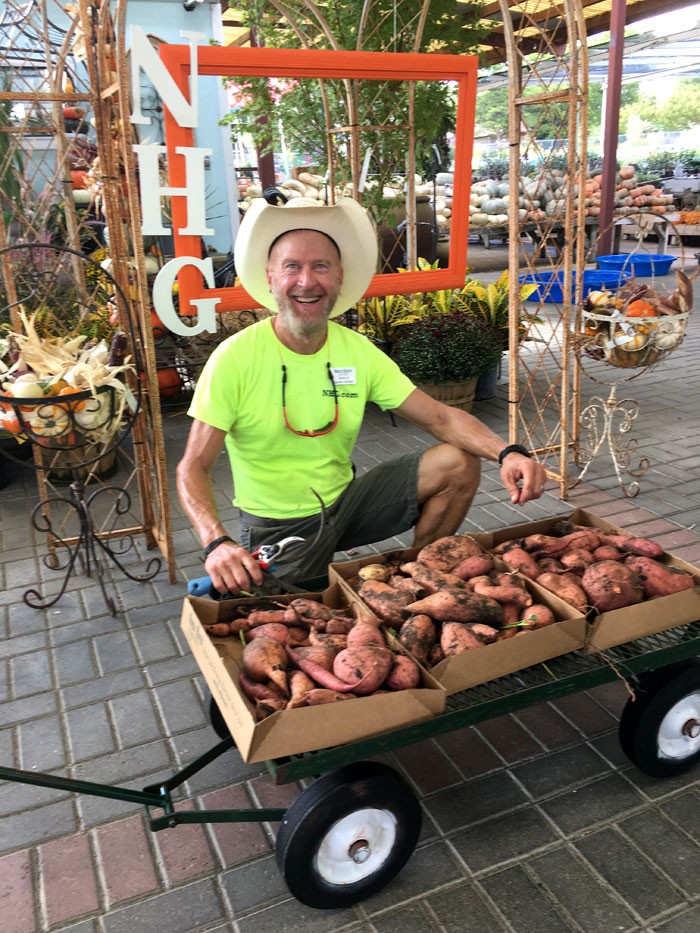 an NHG garden coach with his sweet potato harvest