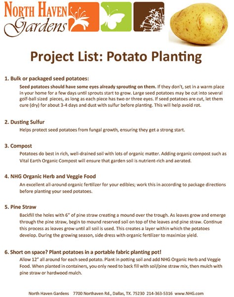 Potato Planting - North Haven Gardens