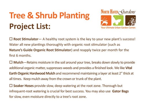 Tree and shrub planting instructions at North Haven Gardens