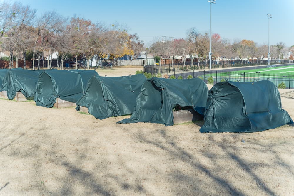 Gardens Covered With A Green Tarp